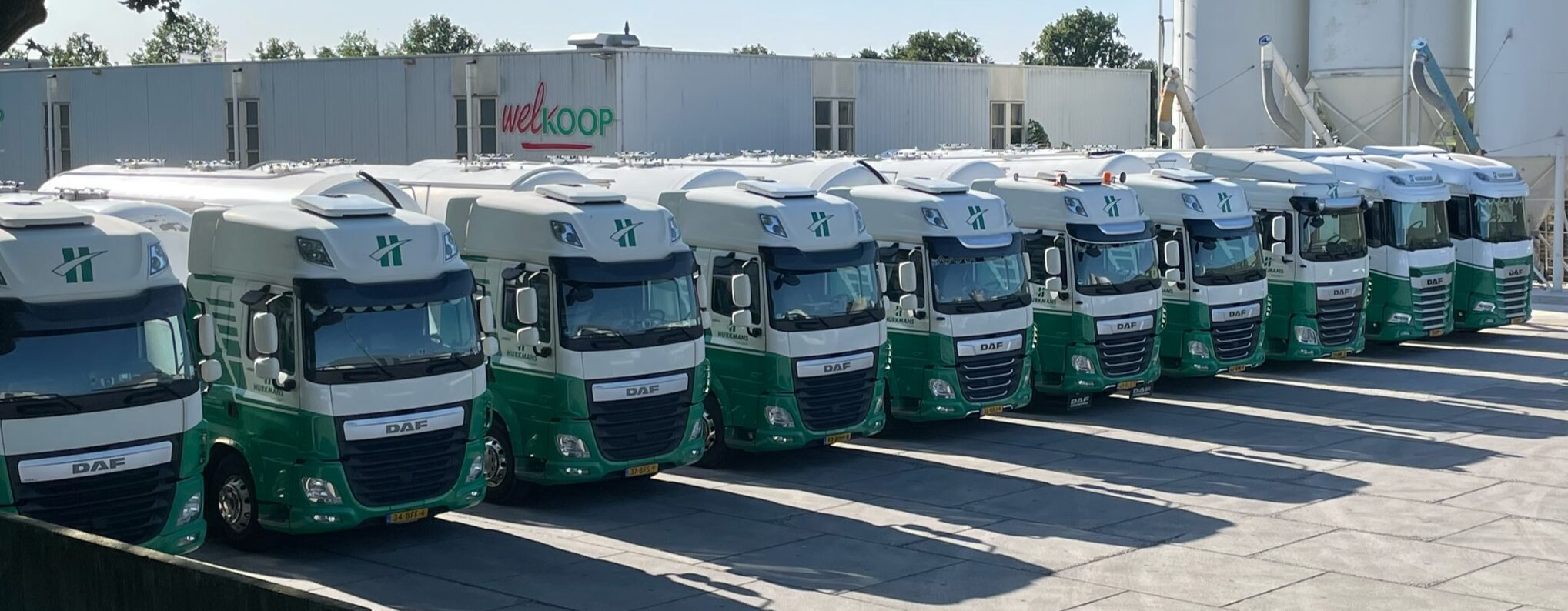wagenpark daf